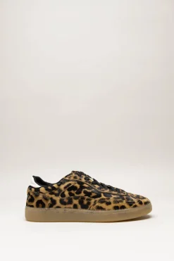The Hoff Brand - Bruin Sneaker