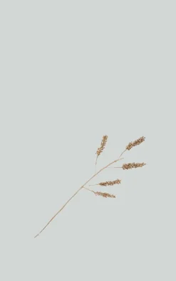 Urban Nature Culture - Naturel Woonaccessoires