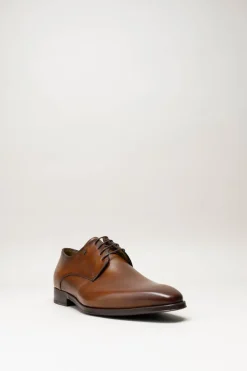 Van Bommel - Cognac Veterschoen
