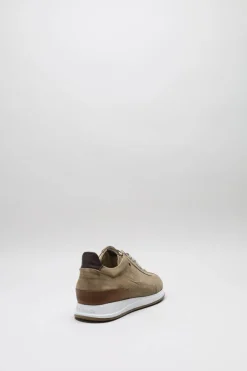 Van Bommel - Lichtbruin Sneaker