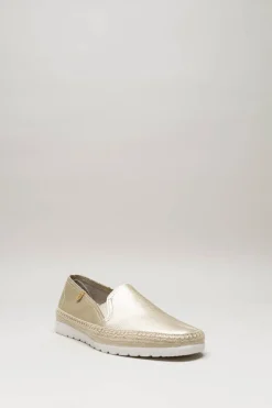 Verbenas - Goud Instapper