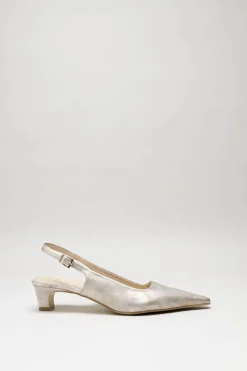 Zinda - Goud Pump